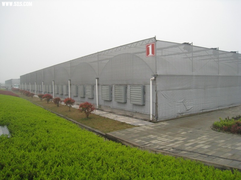 conew_img_7646.jpg