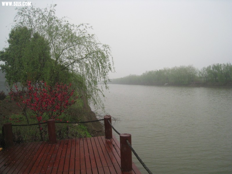 conew_img_7650.jpg