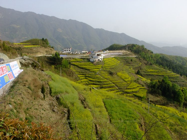 DSCF1799.JPG