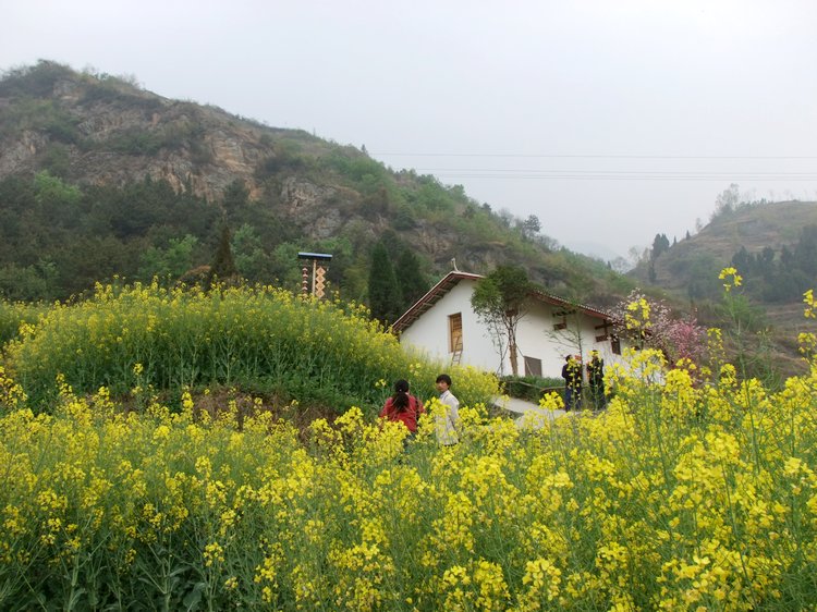DSCF2122.JPG