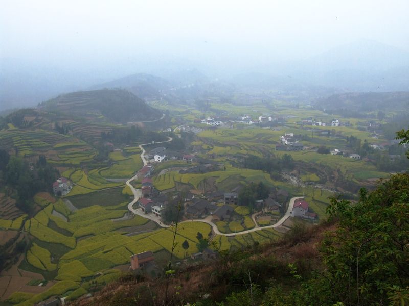 DSCF7569.JPG