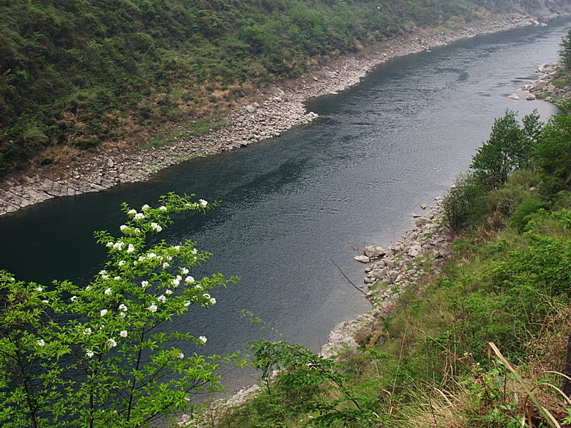IMGP1538.jpg