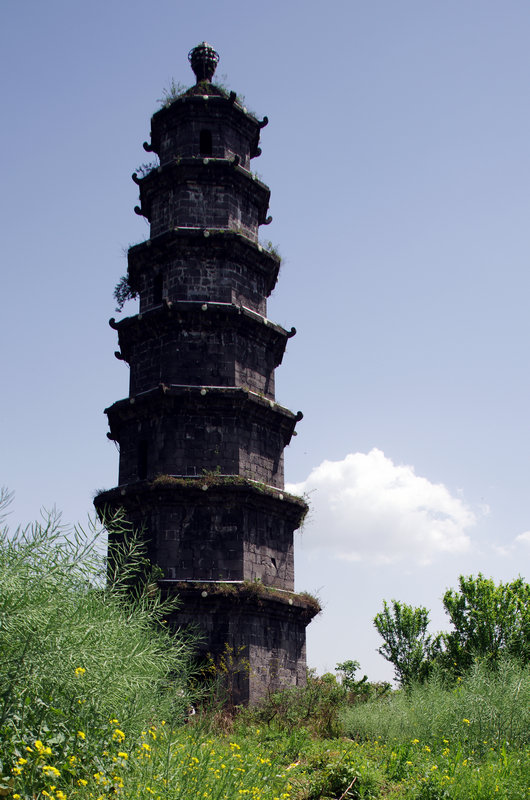 IMGP1977.jpg