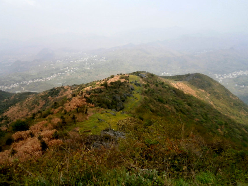 115.jpg
