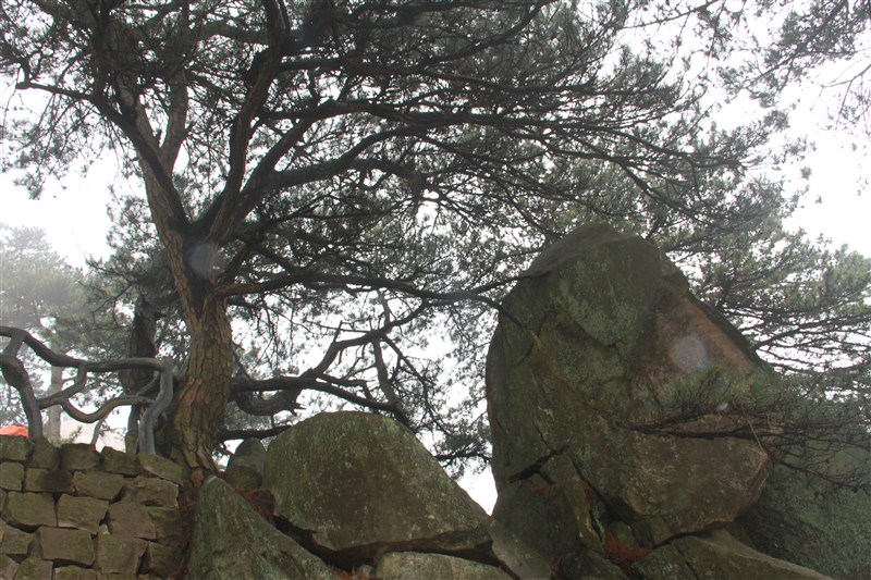psbeCAVNOUCA.jpg