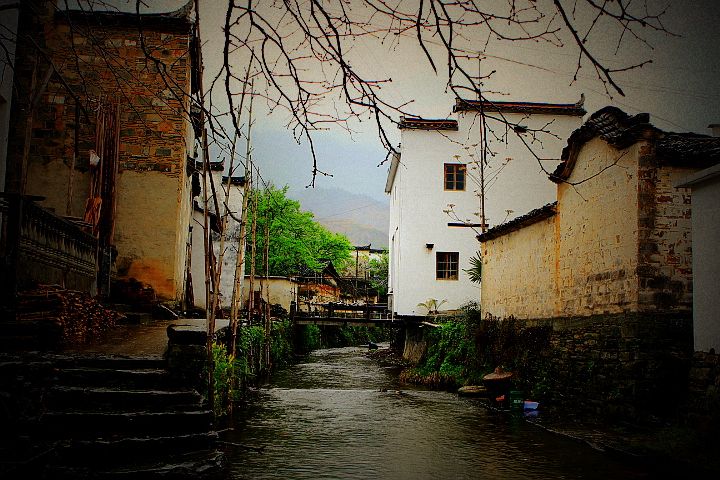 _MG_0599_.jpg
