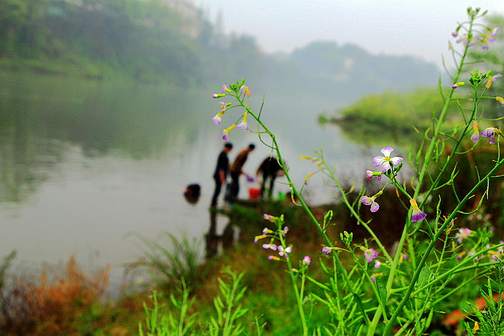 _MG_0414_.jpg