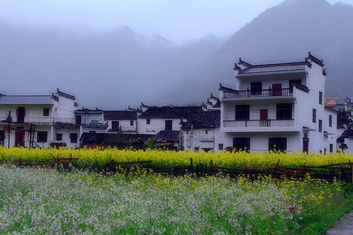 _MG_0578_.jpg