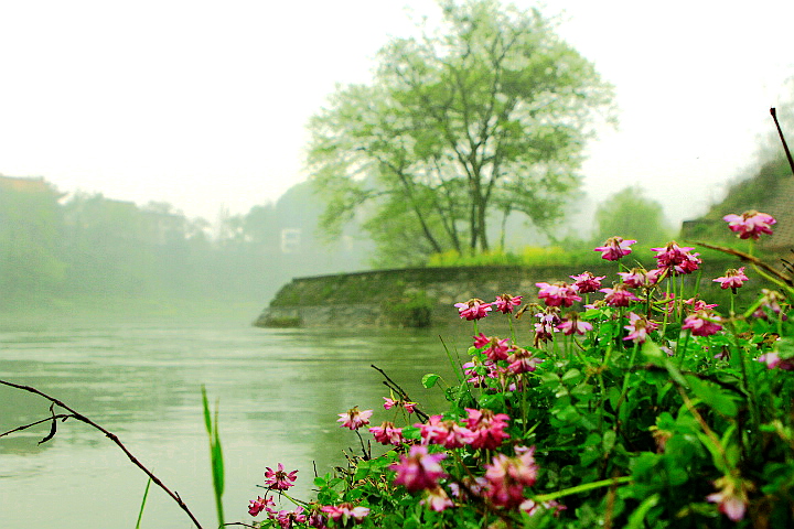 _MG_0401_.jpg
