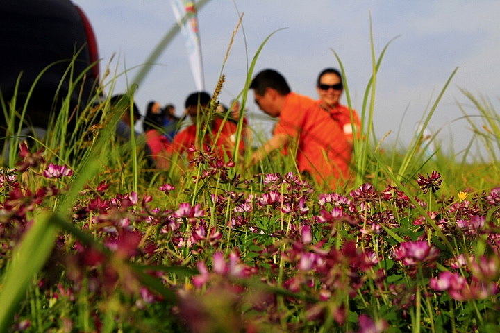 _MG_0104.JPG