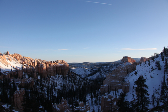 IMG_2342.jpg