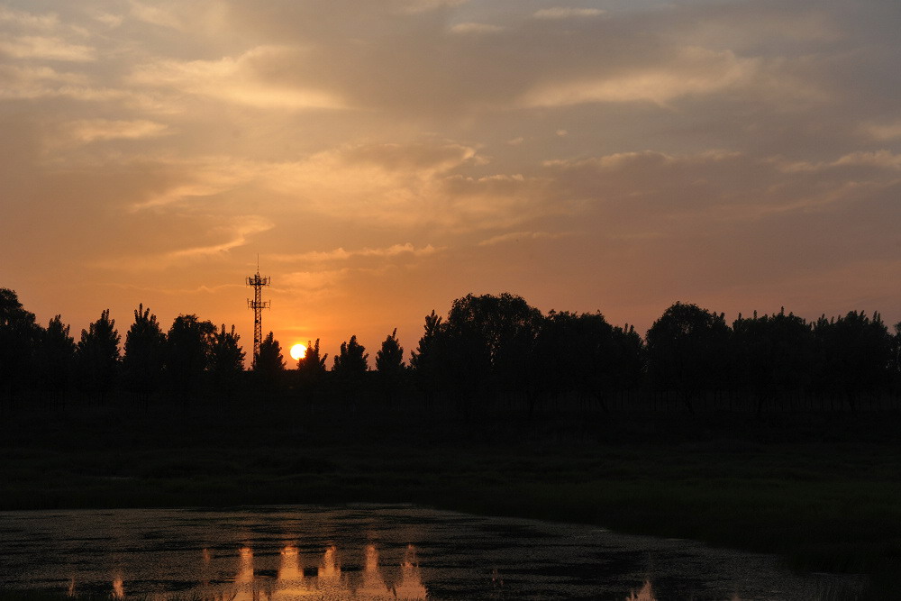 DSC_9116.jpg