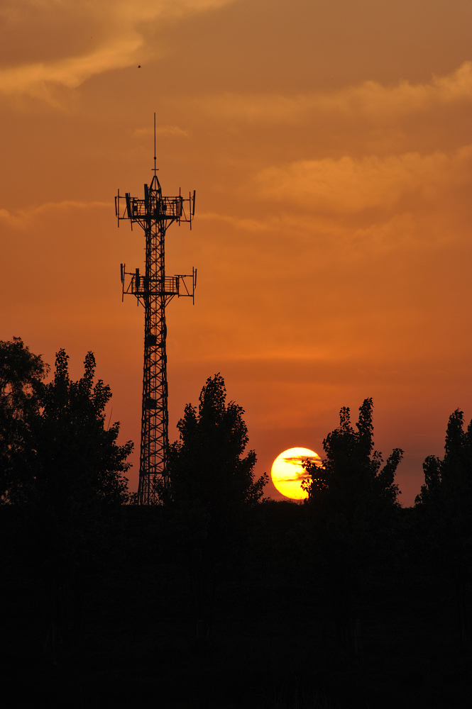 DSC_9117.jpg
