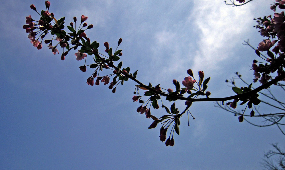 ӣ 021.jpg