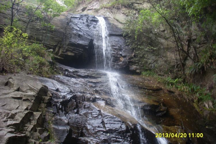 SL382962.JPG