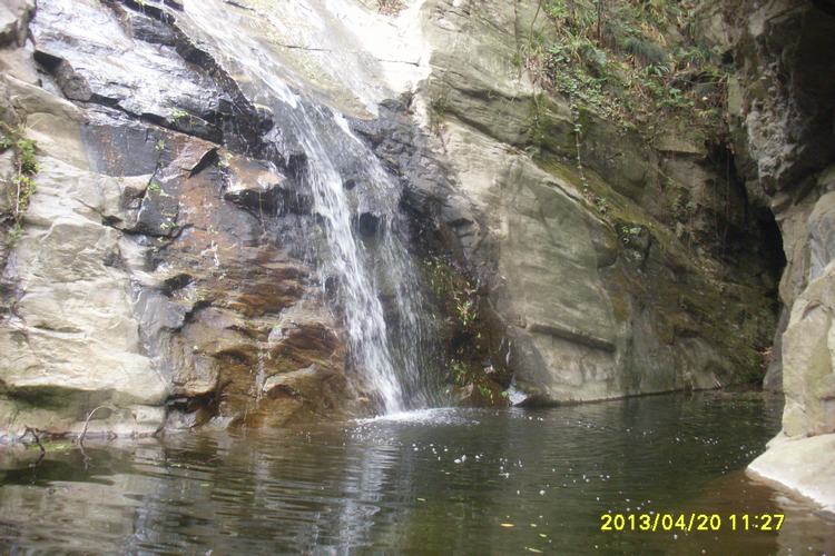 SL382982.JPG