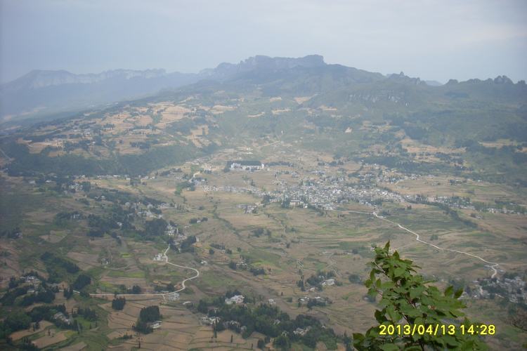 SL382731.JPG