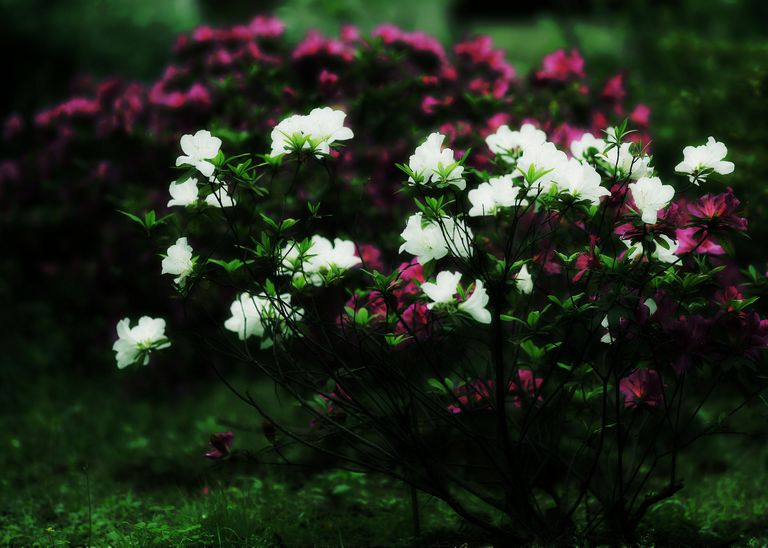 3C1A0231.JPG