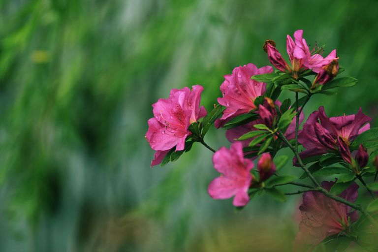3C1A0322.JPG