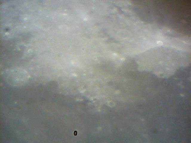  006.jpg