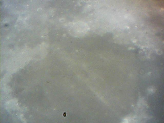  011.jpg