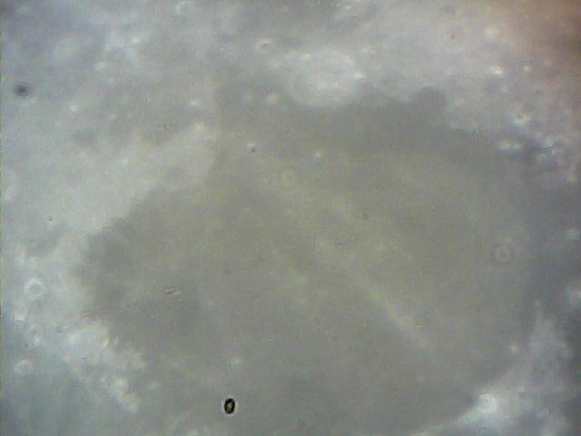  012.jpg