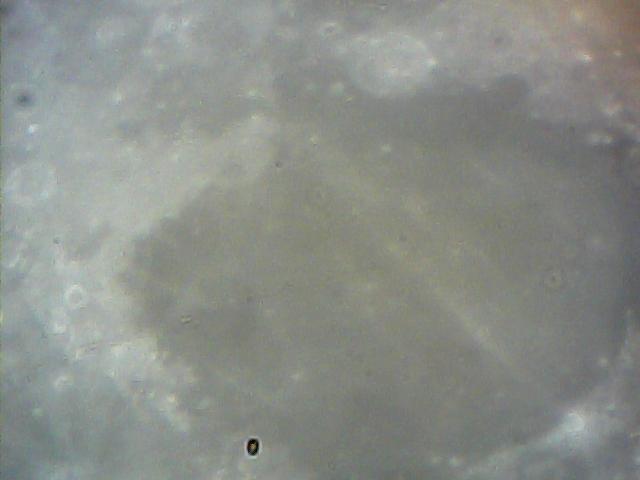  013.jpg