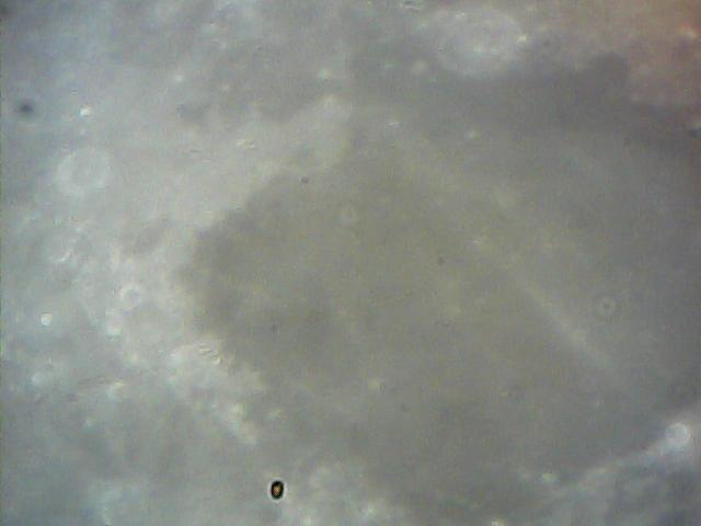  014.jpg