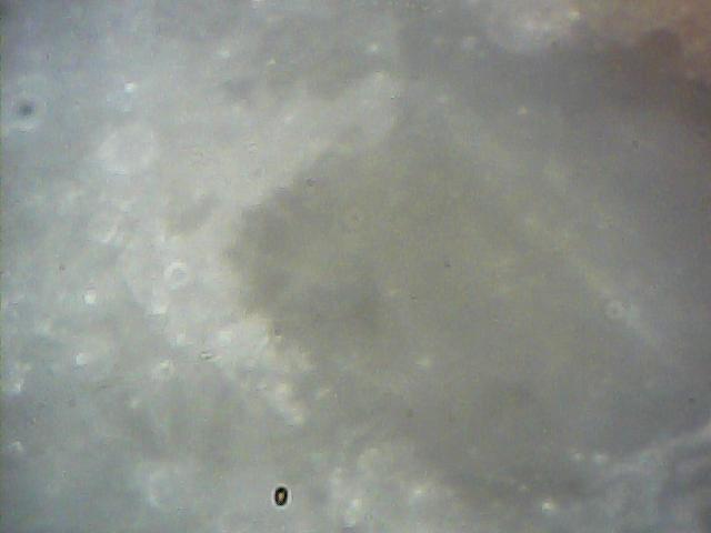  015.jpg