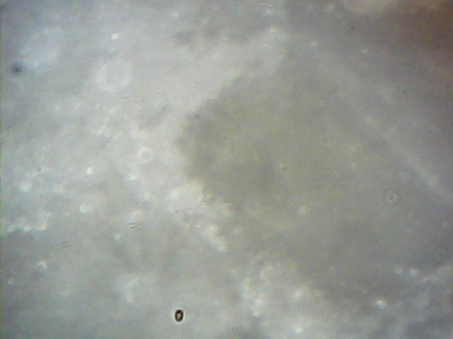  016.jpg