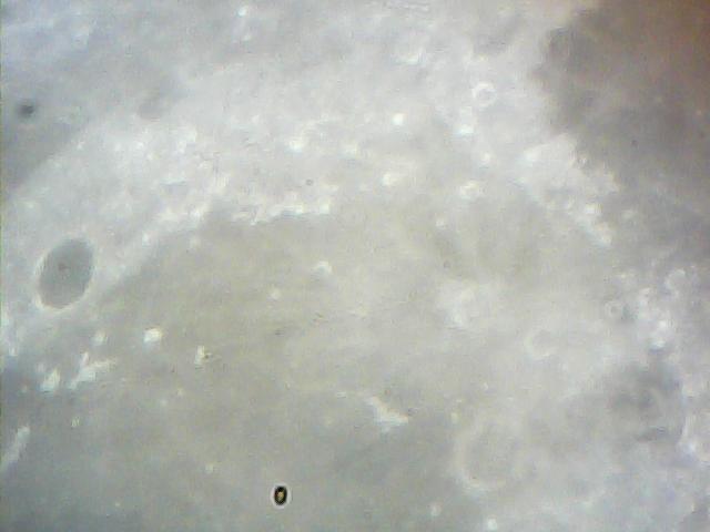  022.jpg