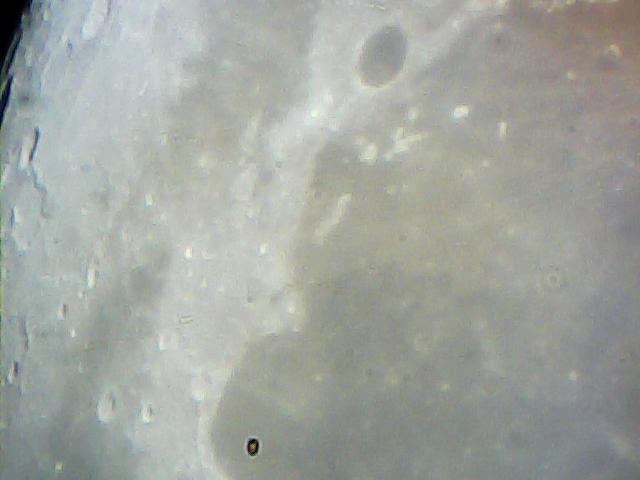  030.jpg