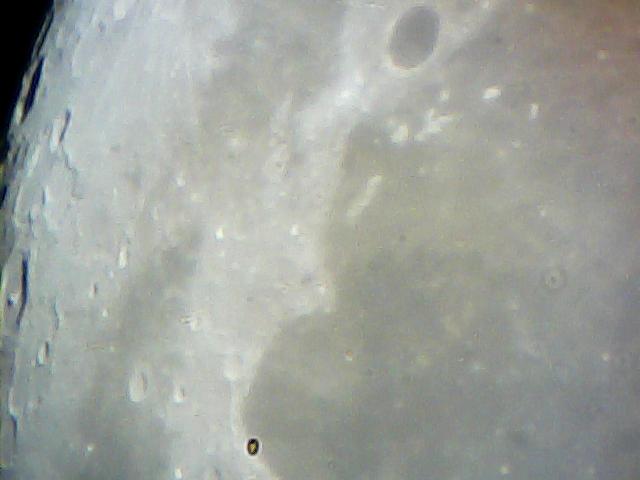  031.jpg