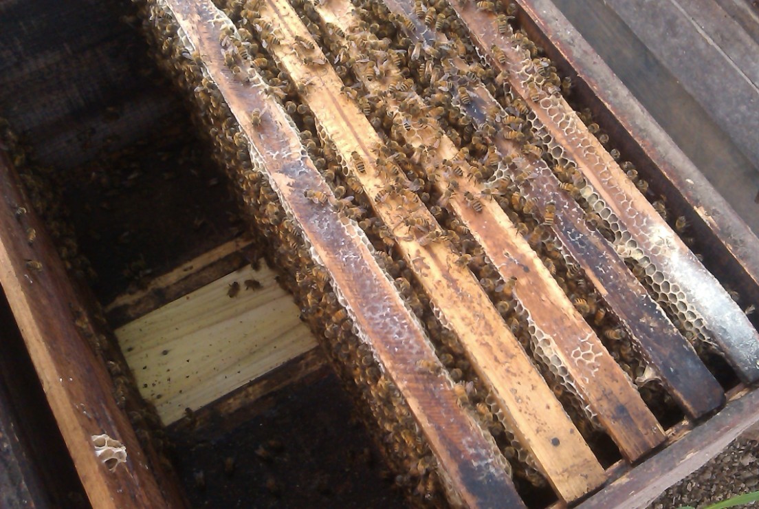 201304006.jpg