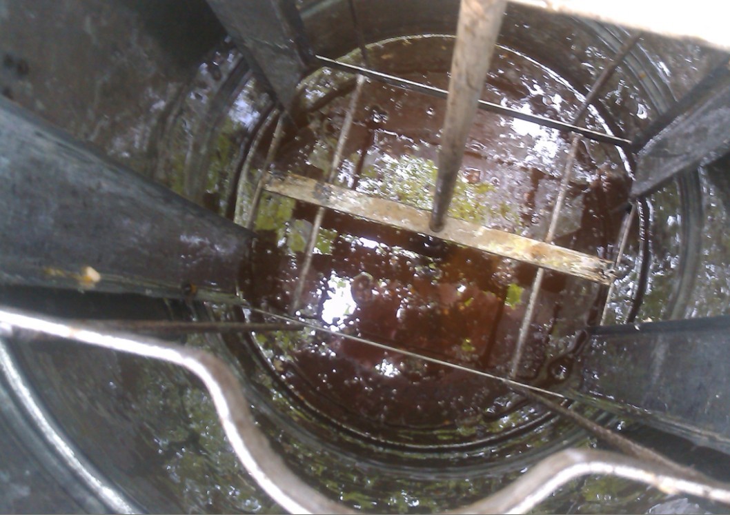 201304020.jpg