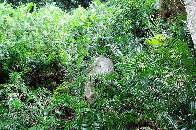 DSC09496.jpg