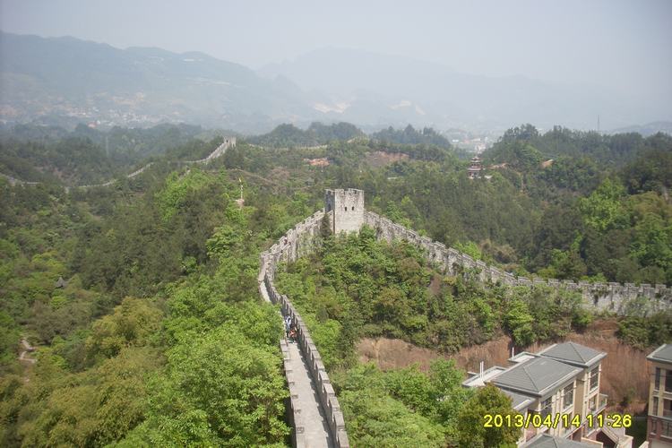 SL382829.JPG