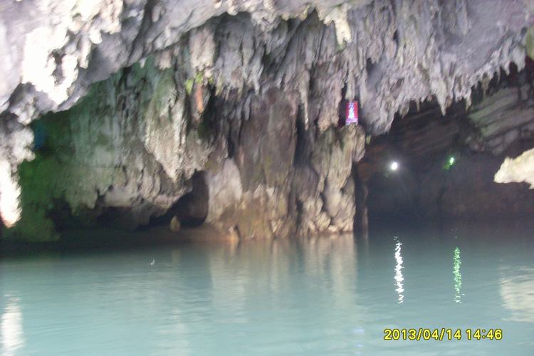 SL382856.JPG