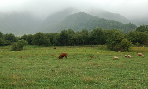 DSC_0144.jpg
