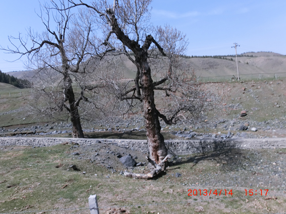 CIMG0151  0.jpg