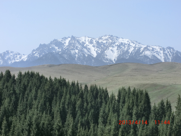 CIMG0052  0.jpg
