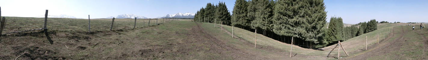 CIMG0065  0.jpg