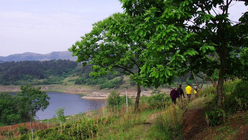 IMGP0002.jpg