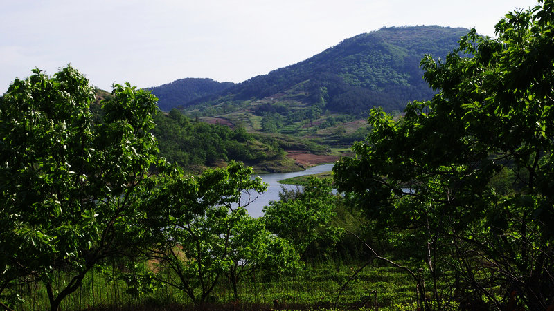 IMGP0170.jpg