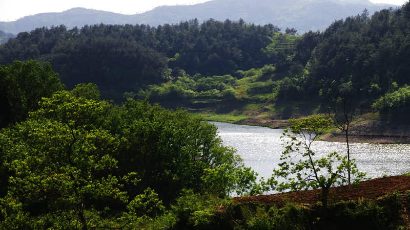 IMGP0179.jpg