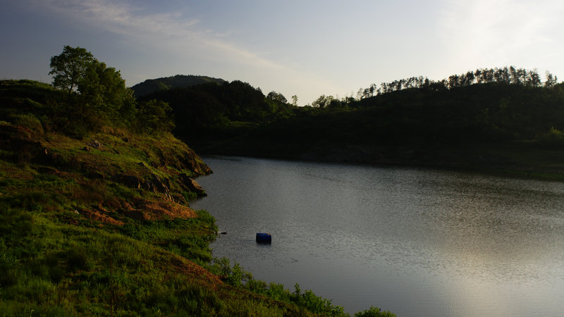 IMGP0203.jpg
