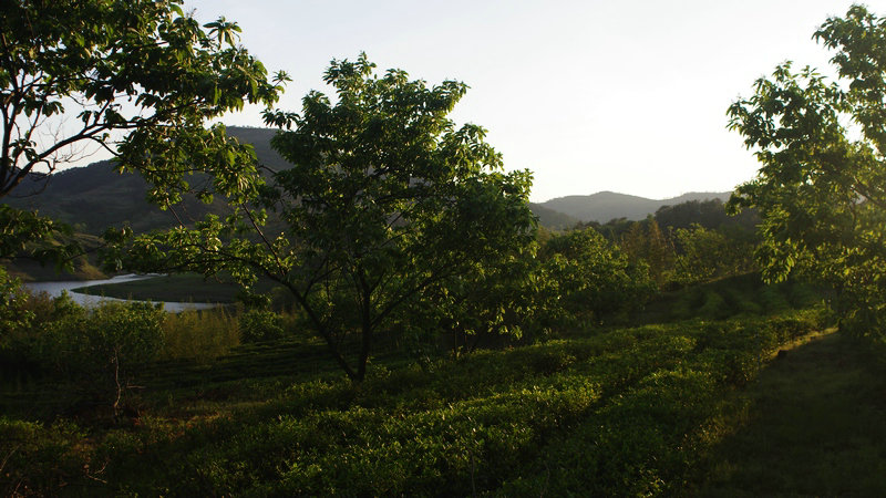 IMGP0211.jpg