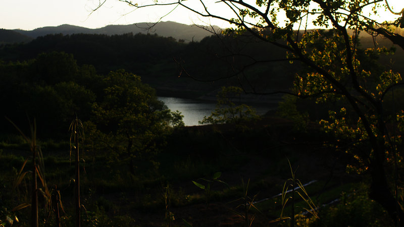 IMGP0217.jpg