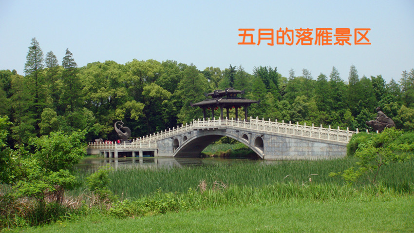 DSC09817_.jpg