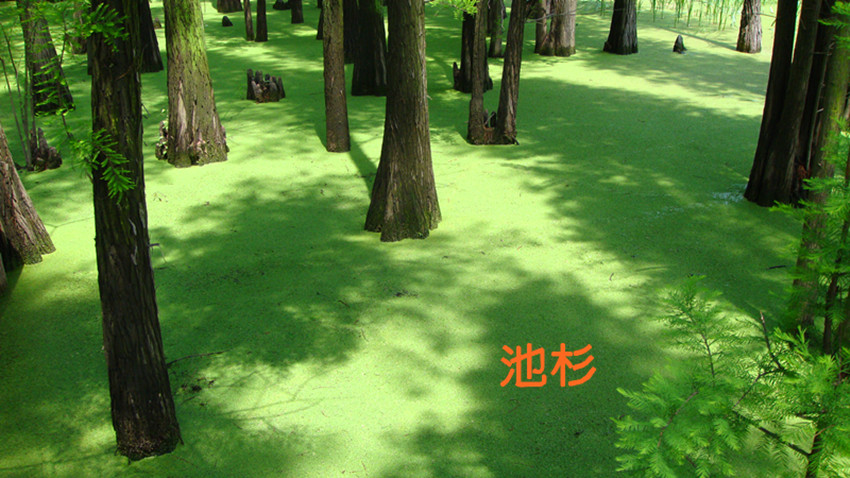 DSC09826_.jpg